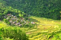 Pù Luông Retreat Thanh Hóa